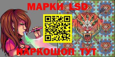 наркотики Кингисепп