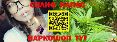наркотики Кингисепп