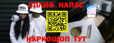 наркотики Кингисепп