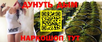 наркотики Кингисепп