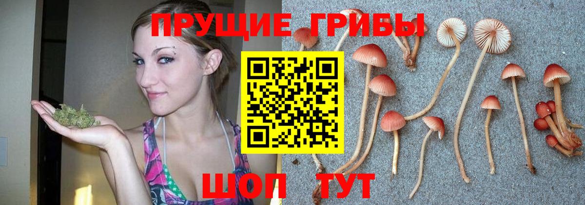 закладка  Вход с VPN  Кудымкар  Галлюциногенные грибы Psilocybine cubensis 