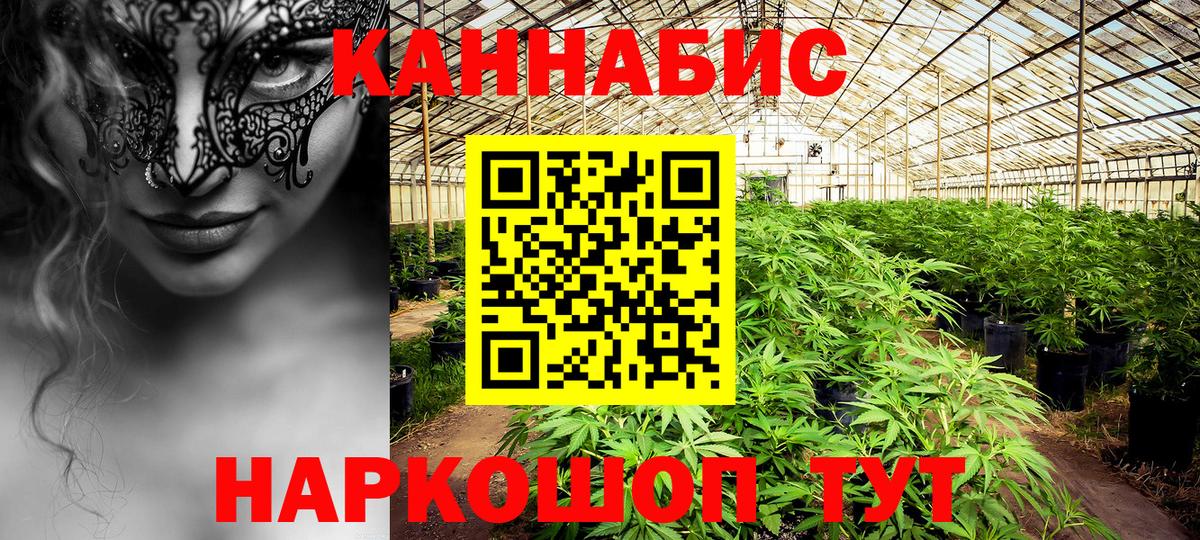 Каннабис план Кудымкар